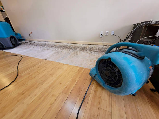 Professional Water Extraction technician working in North Babylon, NY
